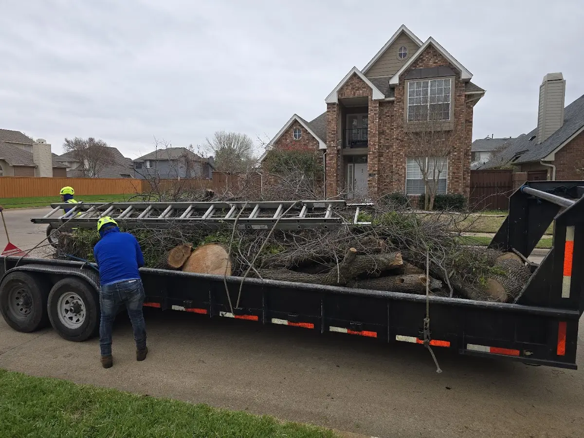 Expert Tree Fertilization with proper safety equipment in Berlin Heights